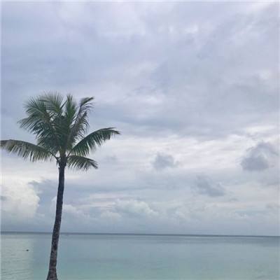 电子游戏bbin官方